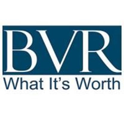 Picture of BVR's Business Valuation in Divorce Case Law Compendium, Fourth Edition